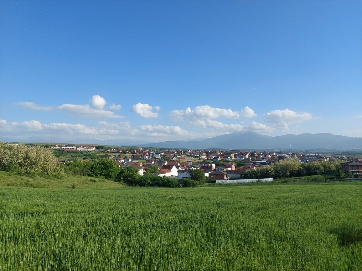 Natyrë e qetë me male dhe pemë
